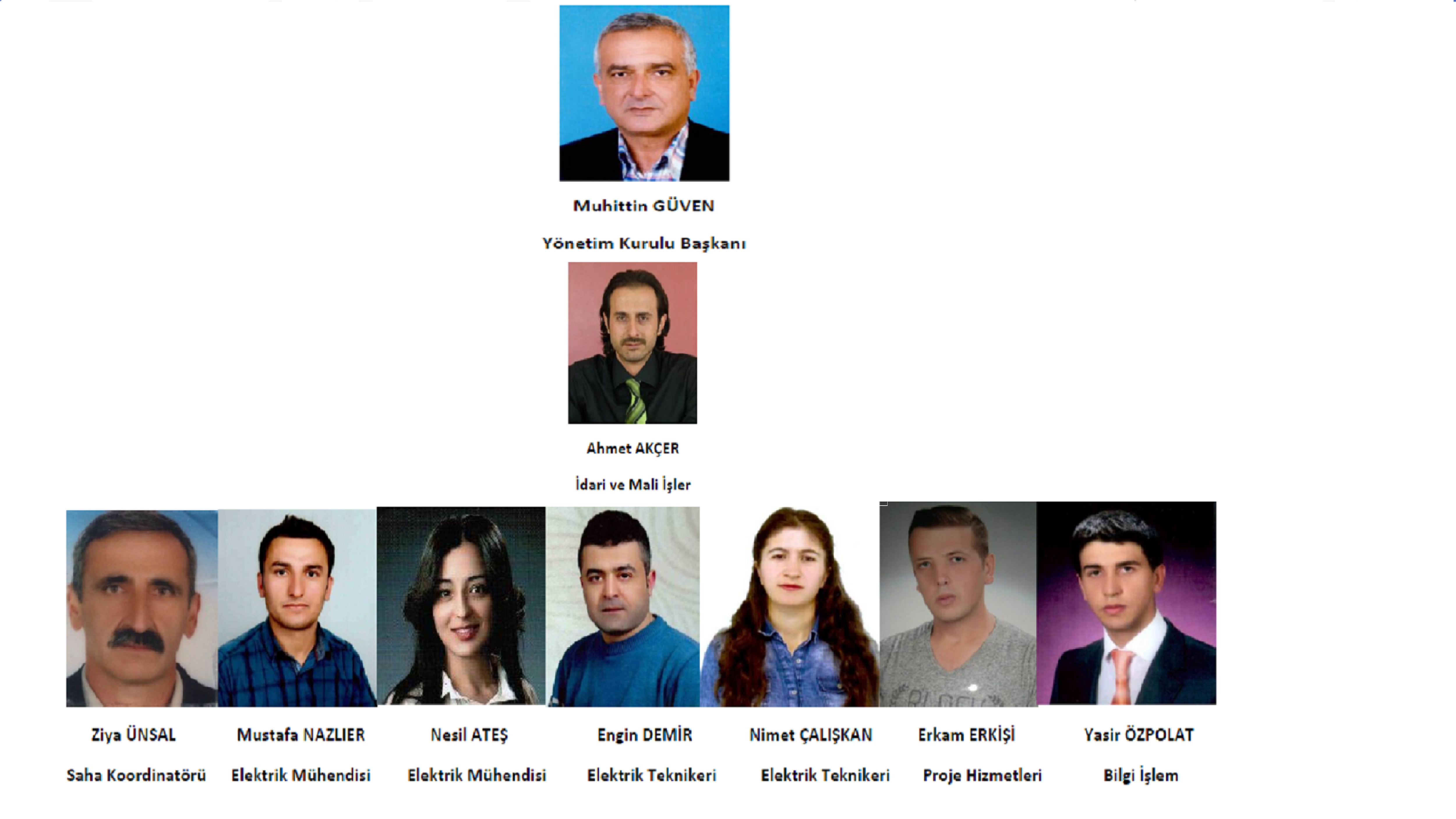 organizasyon şeması